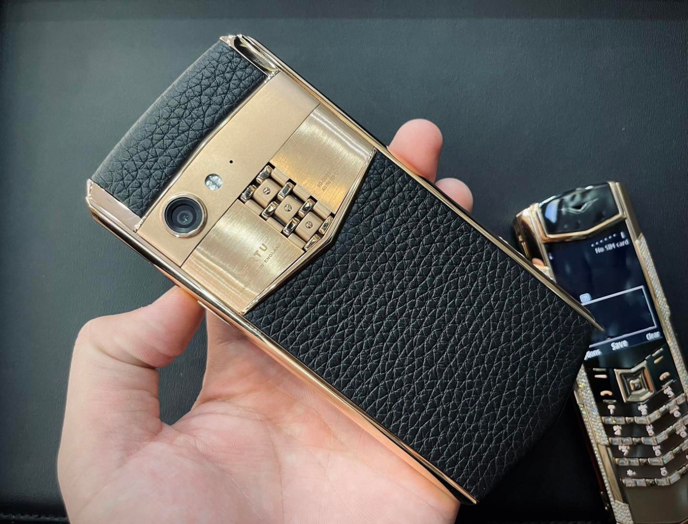 Aster P Vang Khoi (4)