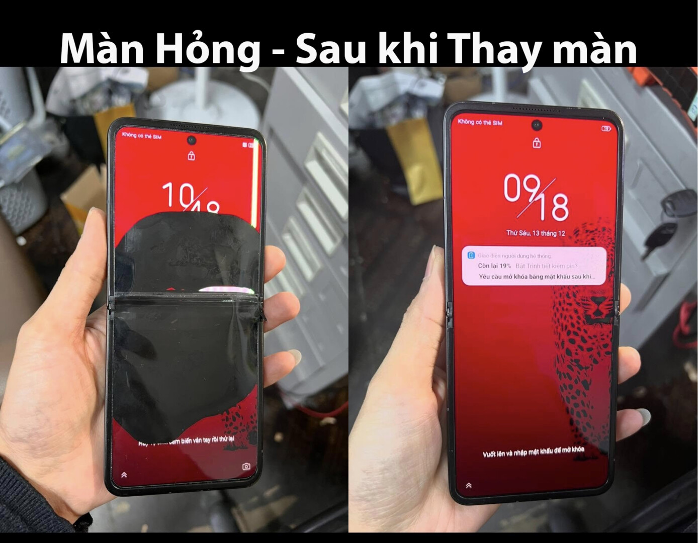 Thay Man Iron